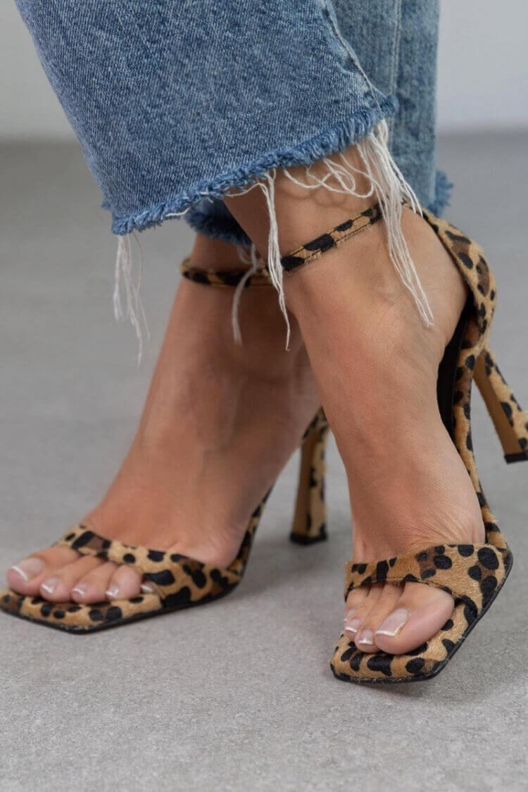 Leopard / 8