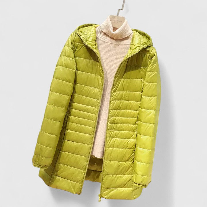 Averlyss | Sophisticated Jacket